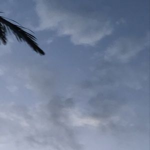 Meet your Posher, Jaycie